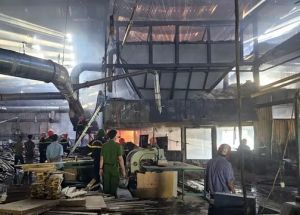Bình Định: Khống chế đám cháy lớn tại công ty sản xuất sản phẩm gỗ Bình Định: Khống chế đám cháy lớn tại công ty sản xuất sản phẩm gỗ